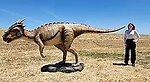 Dracorex Dinosaur Life Size Statue 14.5 FT