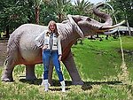 Elephant Fountain Statue Real Life Size Museum Quality 12 FT