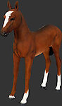 Baby Horse Foal Statue Life Size