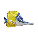 Yellow Longnose Butterflyfish Tropical Fish Statue Hanging 3FT
